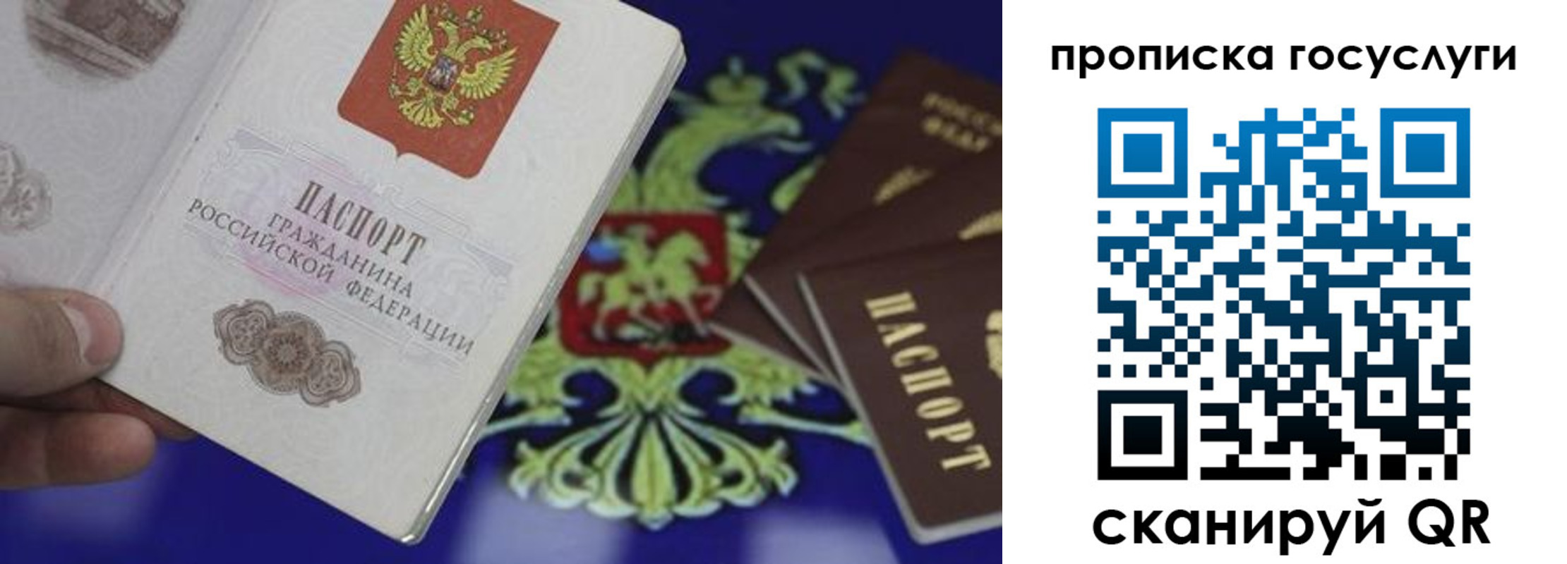 прописка для школы в Балашове